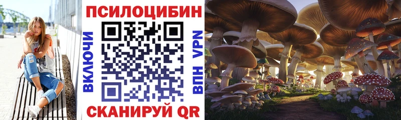 где можно купить   Реутов  Псилоцибиновые грибы мицелий 
